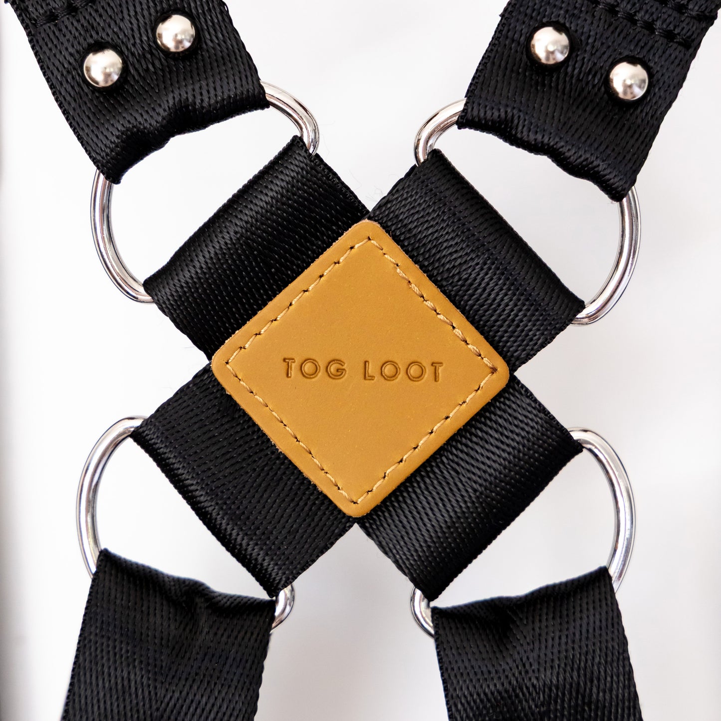 The 'SweetBelt' Dual Camera Harness